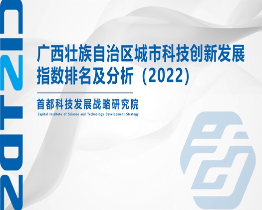 轻点插好舒服视频免费【成果发布】广西壮族自治区城市科技创新发展指数排名及分析（2022）